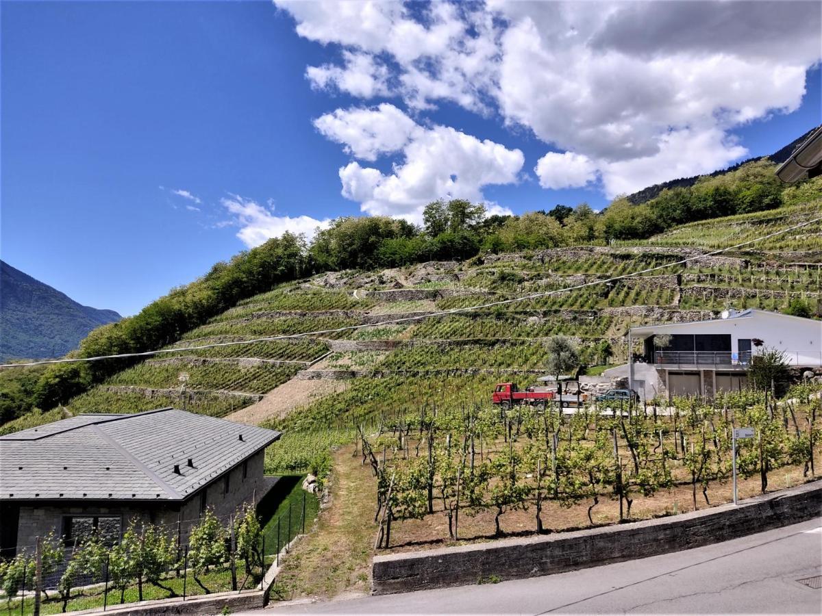B&B Il Germoglio Castione Andevenno Luaran gambar